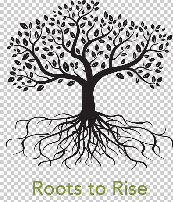 Root Tree Drawing PNG, Clipart, Art, Artwork, Black And White, Branch, Flora Free PNG Download
