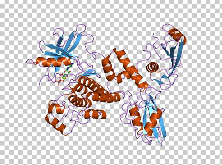 ZAP70 T Cell T-cell Receptor PNG, Clipart, Art, Critical Role, Ebi, Graphic Design, Human Free PNG Download