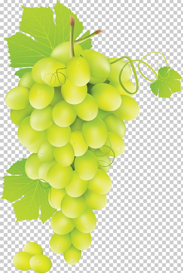 Common Grape Vine Juice PNG, Clipart, Black And White, Blueberries, Computer Icons, Eatforabs, Eathealthy Free PNG Download