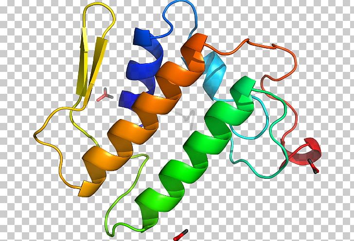 Phospholipase A2 Organism PNG, Clipart, Animal Figure, Area, Artwork, Download, Line Free PNG Download