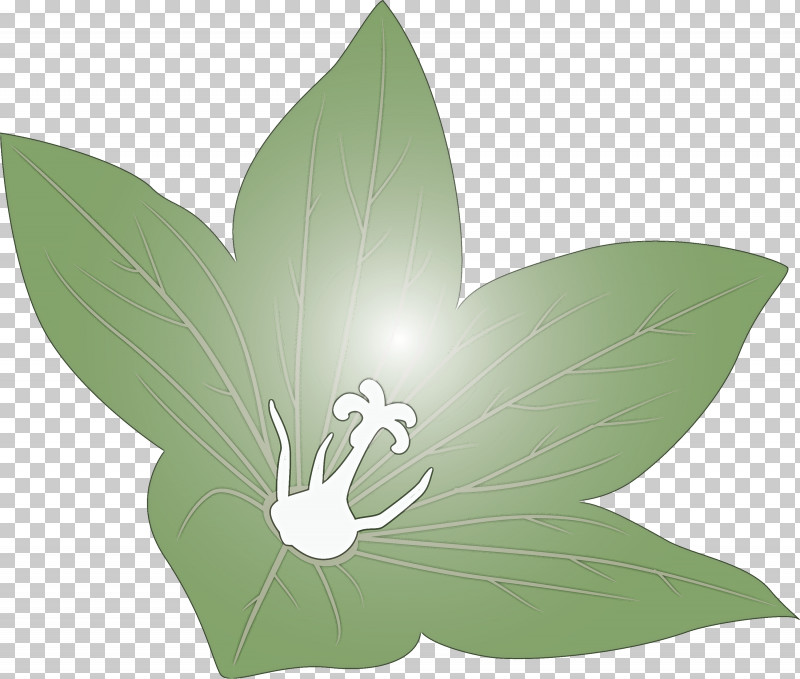 Balloon Flower PNG, Clipart, Balloon Flower, Biology, Flora, Flower, Green Free PNG Download