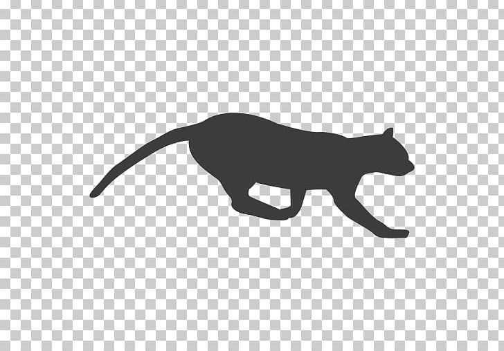 Cat Mammal Whiskers Carnivora Dog PNG, Clipart, Animal, Animal Figure, Animals, Big Cat, Big Cats Free PNG Download