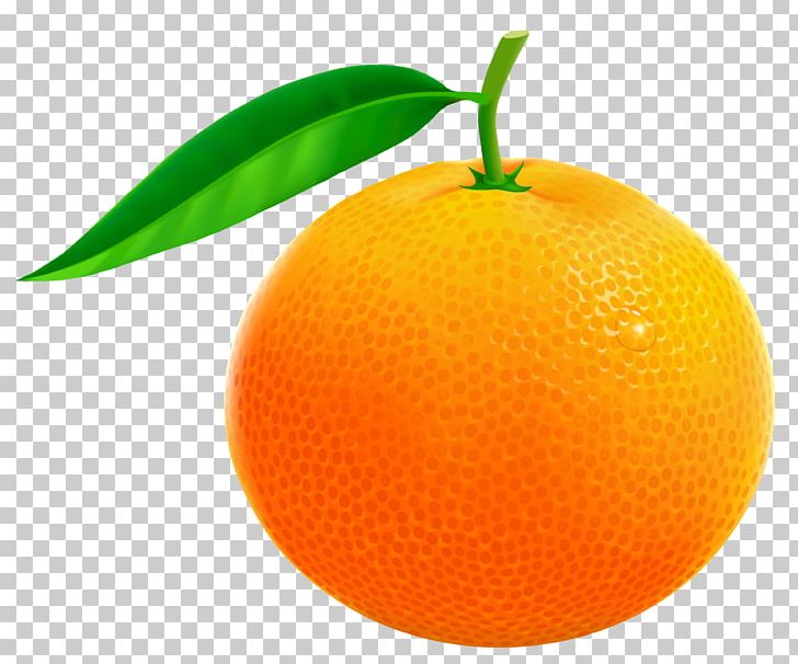 Orange Free Content PNG, Clipart, Bitter Orange, Blog, Cartoon, Citric Acid, Citrus Free PNG Download