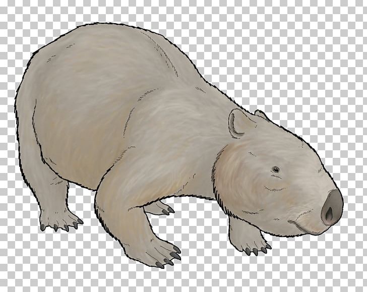 Wombat Phascolonus Polar Bear Marsupial Armadillo PNG, Clipart, Amebelodon, Animal, Animal Figure, Animals, Armadillo Free PNG Download