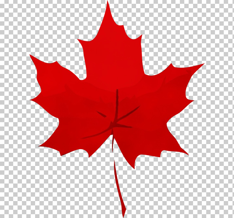 Leaf Flower Tree Maple Leaf / M Symmetry PNG, Clipart, Biology, Flower, Geometry, Leaf, Maple Leaf M Free PNG Download