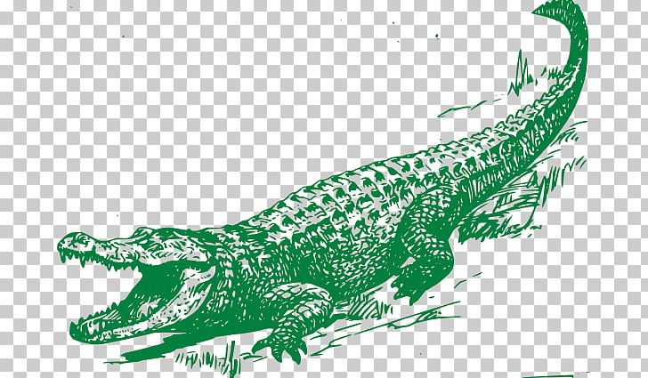 clip art crocodile