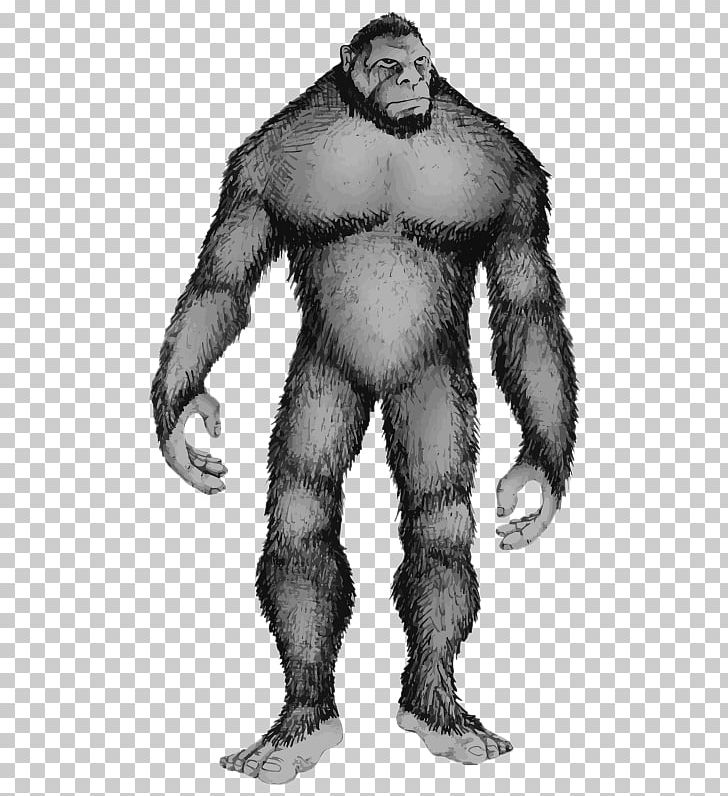 Bigfoot Skunk Ape Pacific Northwest Cryptozoology PNG, Clipart, Ape, Arm, Black And White, Culture, Fictional Character Free PNG Download