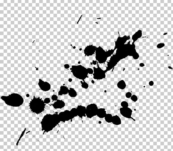 Insect White Desktop Pattern PNG, Clipart, Animals, Black, Black And White, Black Splash, Circ Free PNG Download