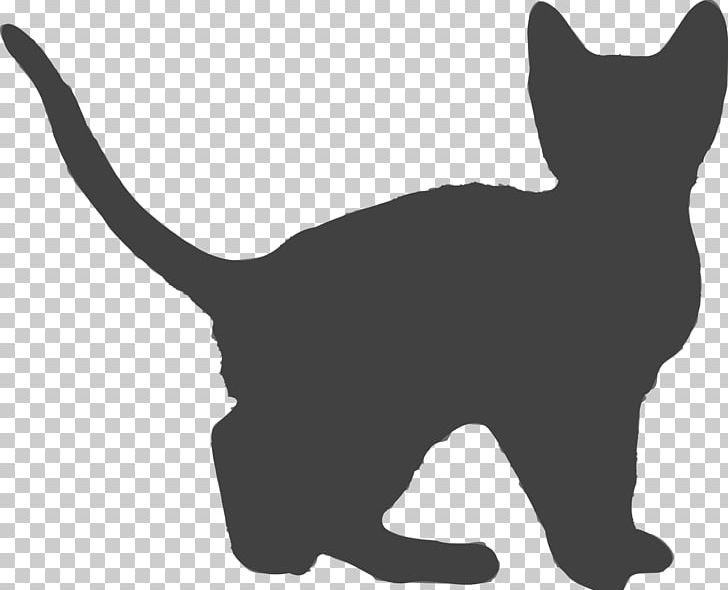 Kitten Whiskers User Interface PNG, Clipart, Animals, Animaux, Black, Black And White, Black Cat Free PNG Download