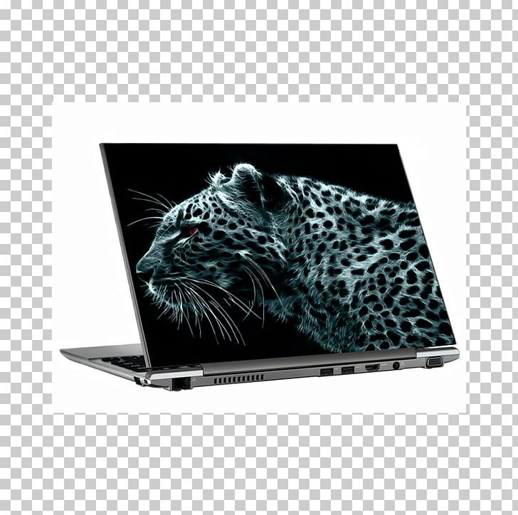 Leopard Desktop Felidae Cheetah PNG, Clipart, 5k Resolution, Animals, Big Cats, Brand, Cheetah Free PNG Download