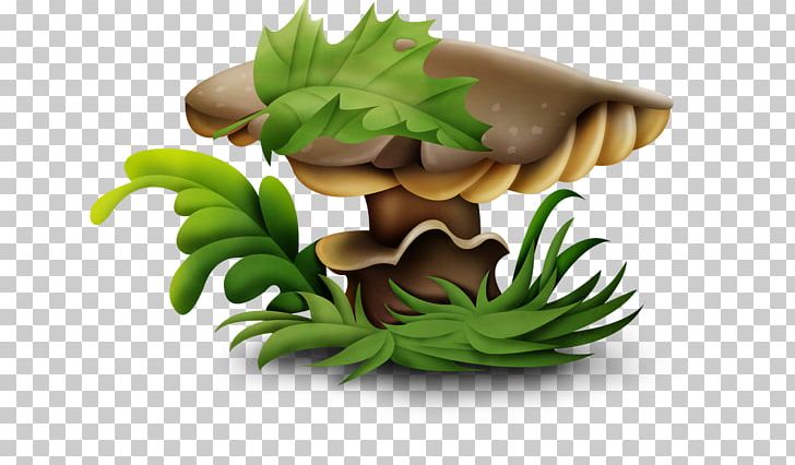 Lingzhi Mushroom Fungus PNG, Clipart, Cartoon, Cartoon Leaves, Cartoon Mushrooms, Drawing, Fall Leaves Free PNG Download