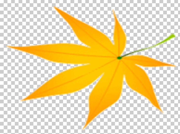 Maple Leaf PNG, Clipart, Adobe Illustrator, Artworks, Autumn, Autumn Leaves, Autumn Tree Free PNG Download