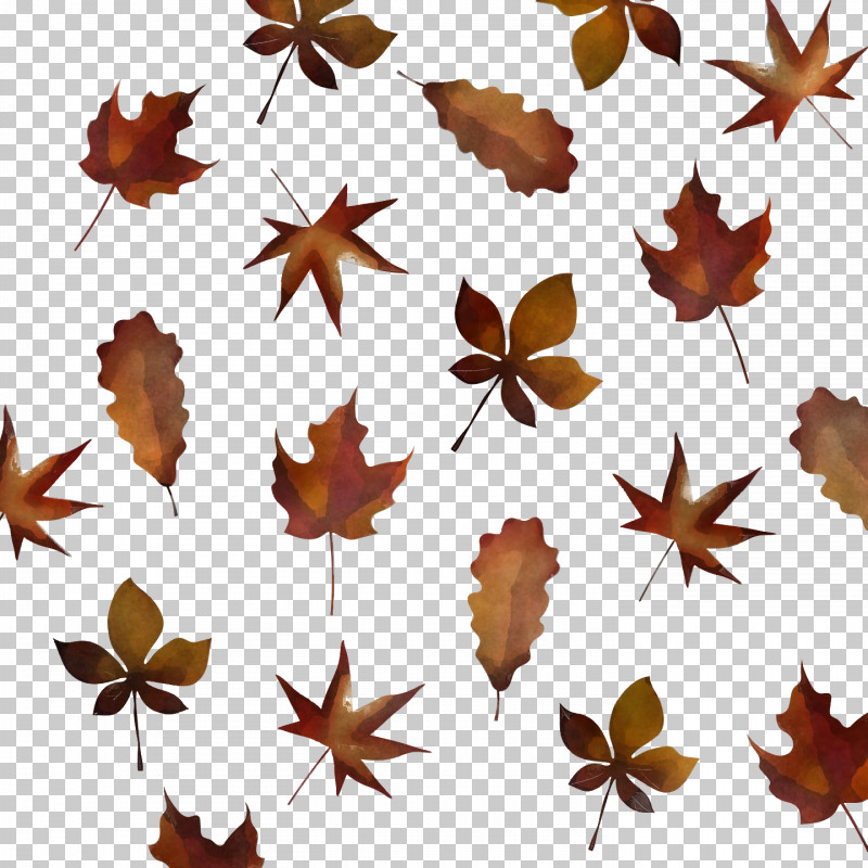 Maple Leaf PNG, Clipart, Butterflies, Geometry, Leaf, Lepidoptera, Maple Free PNG Download