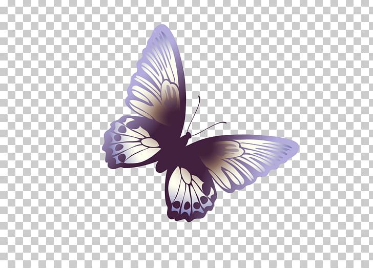 Butterfly Nymphalidae PNG, Clipart, Animal, Arthropod, Blue Butterfly, Brush Footed Butterfly, Butterflies Free PNG Download