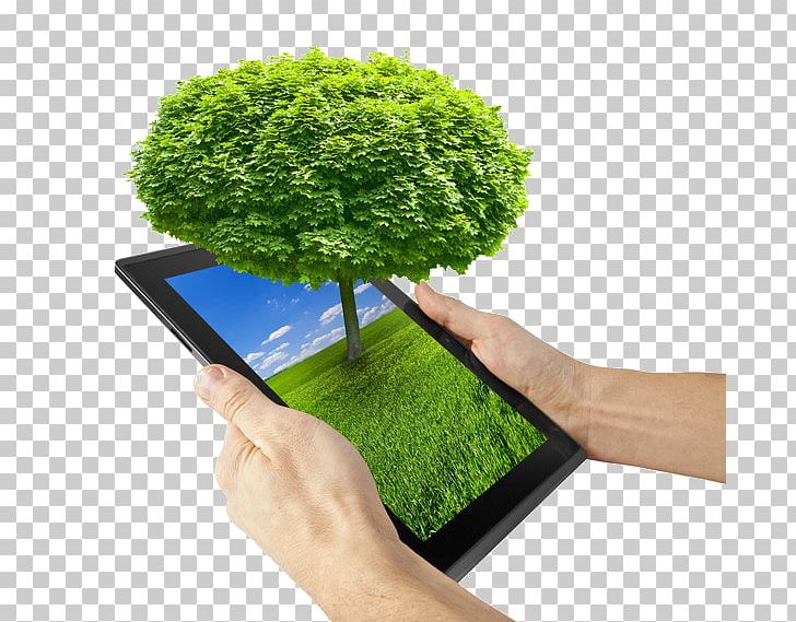 Environmentally Friendly Carpet Green Computing Business PNG, Clipart, Carpet Cleaning, Christmas Tree, Cleaning, Coconut Tree, Computer Free PNG Download