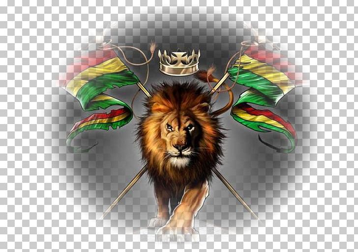 Lion Of Judah Rasta Wallpaper