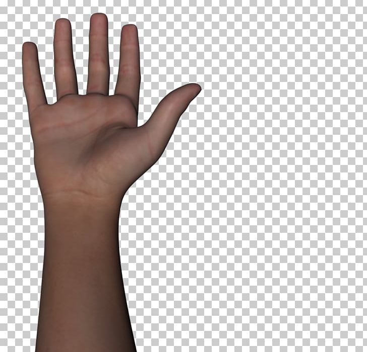 Thumb Arm Human Body Hand PNG, Clipart, Arm, Carpal Bones, Finger, Glove, Hand Free PNG Download