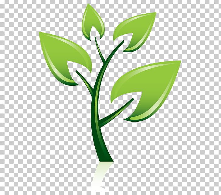 Tree Planting Garden Pruning Nursery PNG, Clipart, Clean Mouth, Flower, Forest, Fruit Tree, Garden Free PNG Download