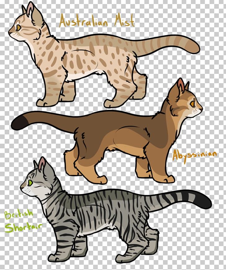 Whiskers Wildcat Domestic Short-haired Cat Canidae PNG, Clipart, Animal, Animal Figure, Animals, Big Cat, Big Cats Free PNG Download