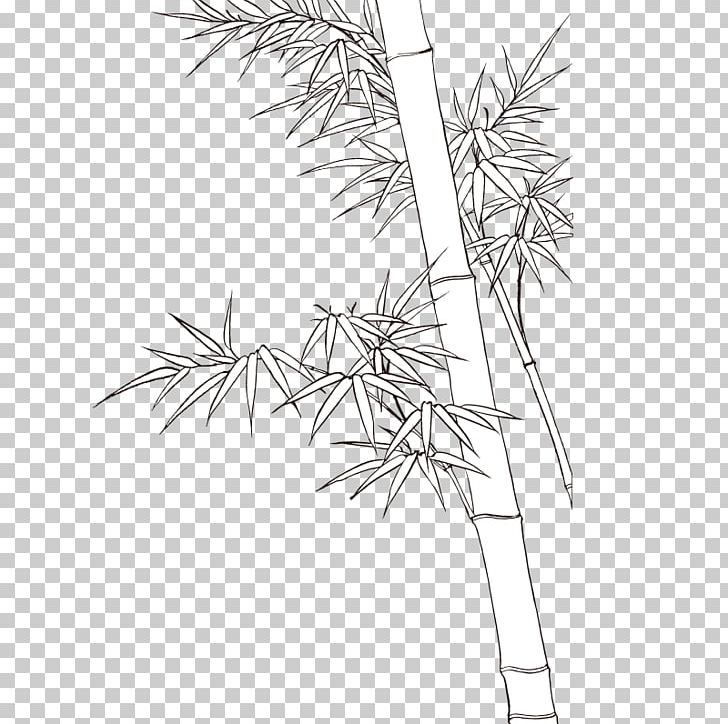 Bamboo Shoot Bamboe PNG, Clipart, Angle, Area, Bamboo, Bamboo Border, Bamboo Frame Free PNG Download