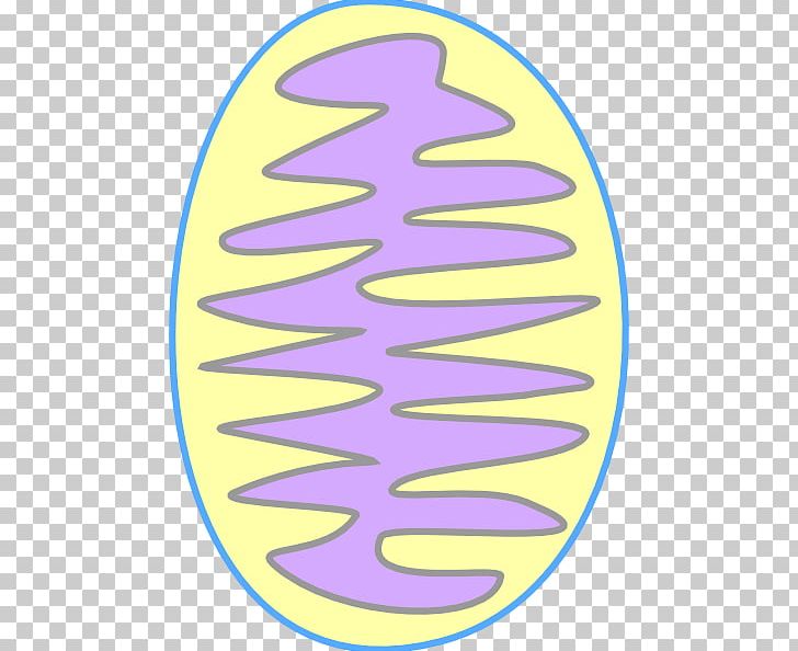 Mitochondrion Endoplasmic Reticulum Cell PNG, Clipart, Can Stock Photo, Cell, Cellular Respiration, Chloroplast, Circle Free PNG Download