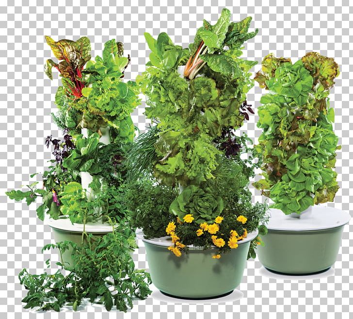 Tower Garden Aeroponics Hydroponics Juice Plus Png Clipart