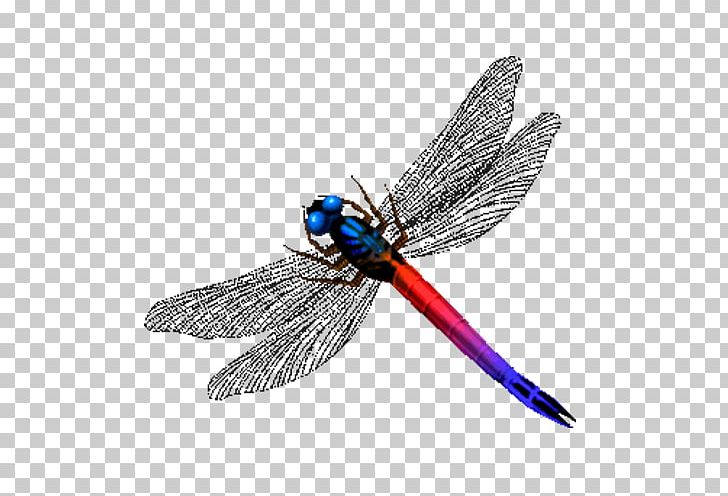 Dragonfly Insect PNG, Clipart, Arthropod, Cartoon, Computer Icons, Dragonflies And Damseflies, Dragonfly Free PNG Download
