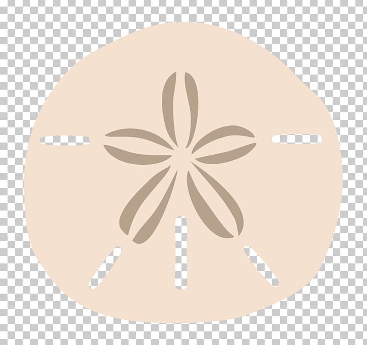 Sea Urchin Sand Dollar Drawing PNG, Clipart, Beige, Circle, Clipart, Clip Art, Dollar Free PNG Download