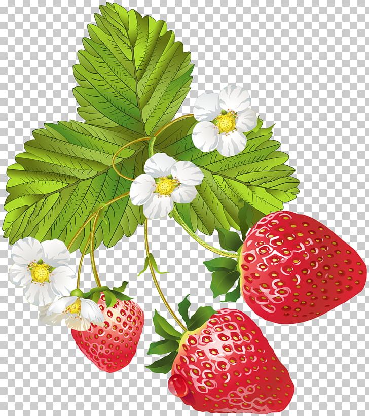 Strawberry Frutti Di Bosco PNG, Clipart, Berry, Blooming, Bosco, Caribbean Cuisine, Clipart Free PNG Download