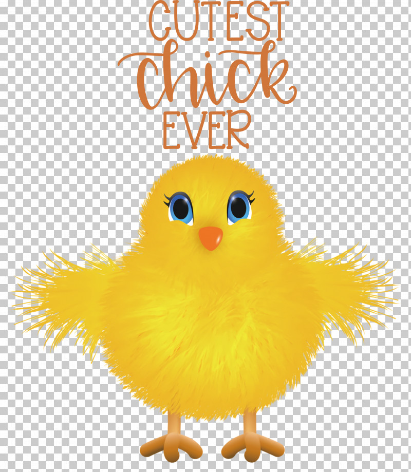 Happy Easter Cutest Chick Ever PNG, Clipart, Beak, Birds, Chicken, Ducks, Happiness Free PNG Download
