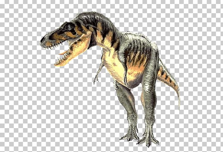 Carcharodontosaurus Tarbosaurus Spinosaurus Tyrannosaurus Gallimimus PNG, Clipart, Carcharodontosaurus, Cretaceous, Dinosaur, Dinosaur Egg, Extinction Free PNG Download