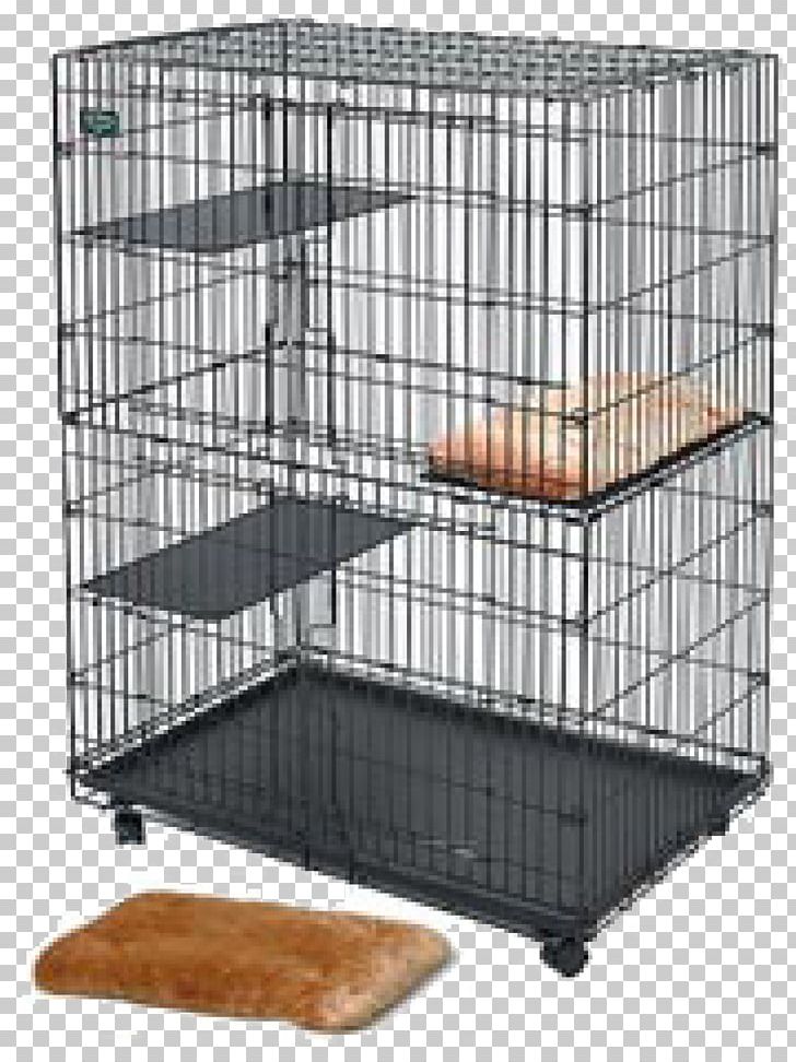 Cat Enclosure Ferret Dog Cage PNG, Clipart, Animals, Big Cat, Cage, Cat, Cat Enclosure Free PNG Download