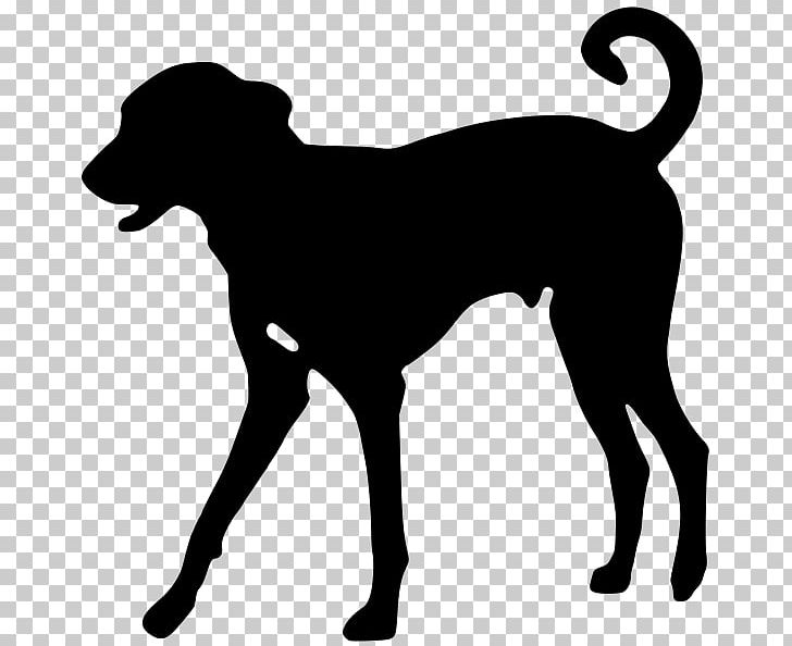 Dobermann Greyhound Beagle Labrador Retriever Puppy PNG, Clipart, Animal, Beagle, Black, Black And White, Carnivoran Free PNG Download