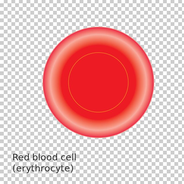 Red Blood Cell PNG, Clipart, Blood, Blood Cell, Cancer Cell, Cancer Research Uk, Cartoon Free PNG Download