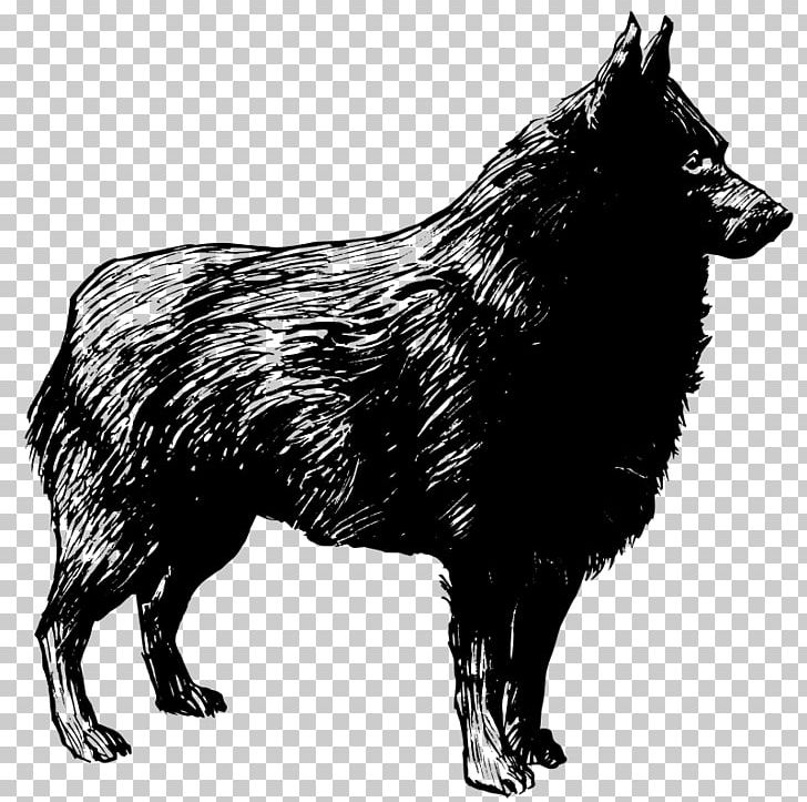 Schipperke Bloodhound Belgian Shepherd Malinois Dog PNG, Clipart, Animal, Belgian Shepherd, Black And White, Bloodhound, Carnivoran Free PNG Download