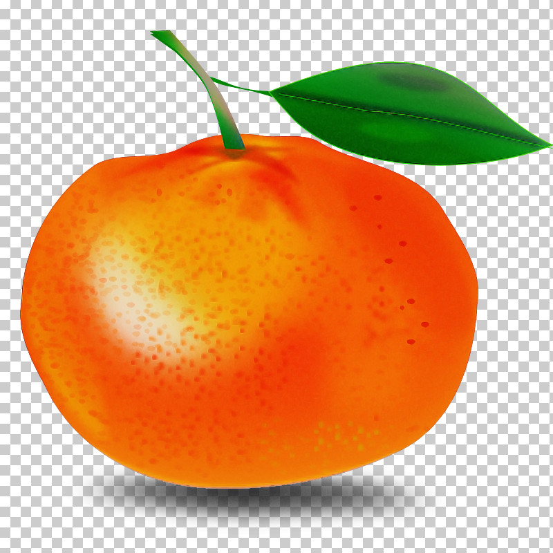 Orange PNG, Clipart, Accessory Fruit, Food, Fruit, Natural Foods, Orange Free PNG Download