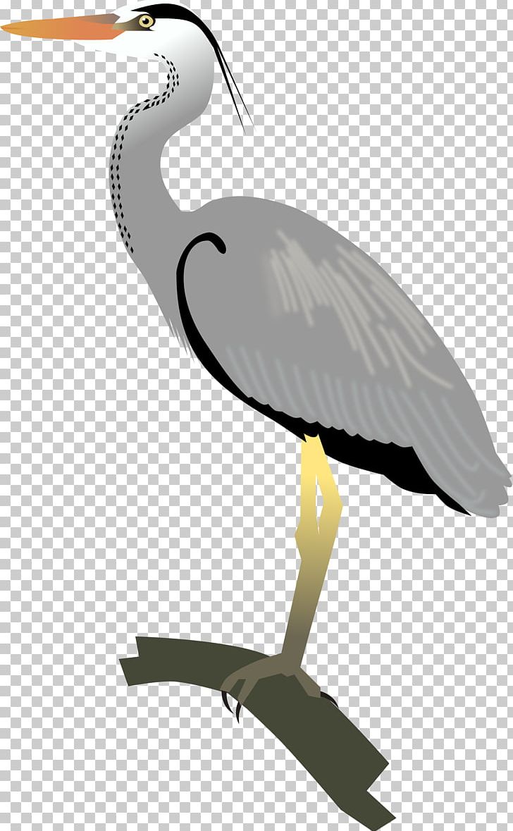 Egret Great Blue Heron Crane Bird PNG, Clipart, Beak, Bird, Blue, Ciconiiformes, Crane Free PNG Download