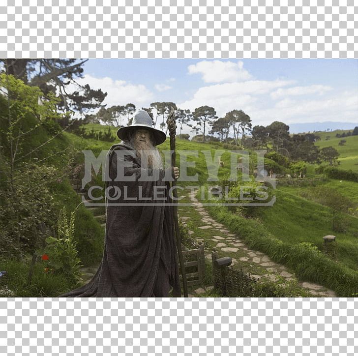 Gandalf The Lord Of The Rings The Hobbit Bilbo Baggins PNG, Clipart, Archaeological Site, Bilbo Baggins, Grass, Landscape, Middleearth Free PNG Download
