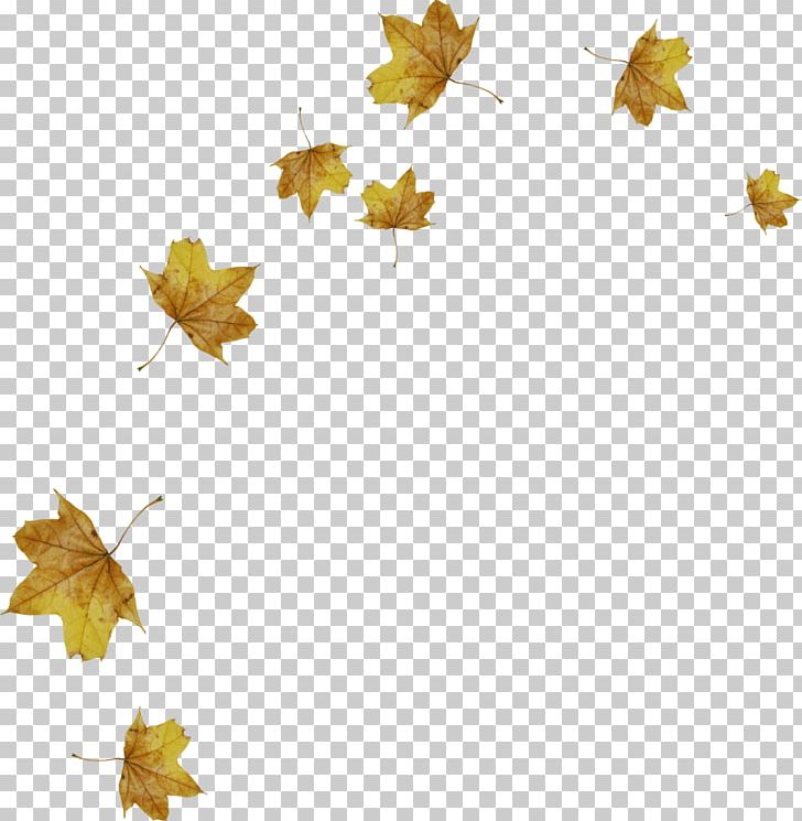 Light Leaf Autumn PNG, Clipart, Autocad Dxf, Autumn, Autumn Leaves, Branch, Computer Wallpaper Free PNG Download