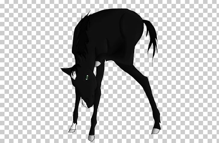 Mustang Stallion Cattle Pack Animal Halter PNG, Clipart, Animal, Black, Black And White, Cattle, Cattle Like Mammal Free PNG Download