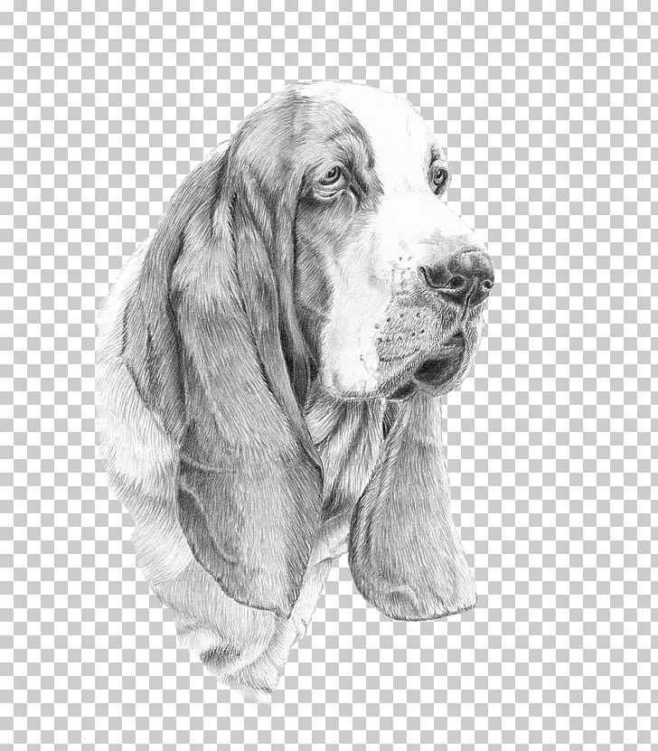 Sussex Spaniel Basset Hound Dog Breed IPhone 6 PNG, Clipart, Artwork, Basset Hound, Black And White, Breed, Carnivoran Free PNG Download
