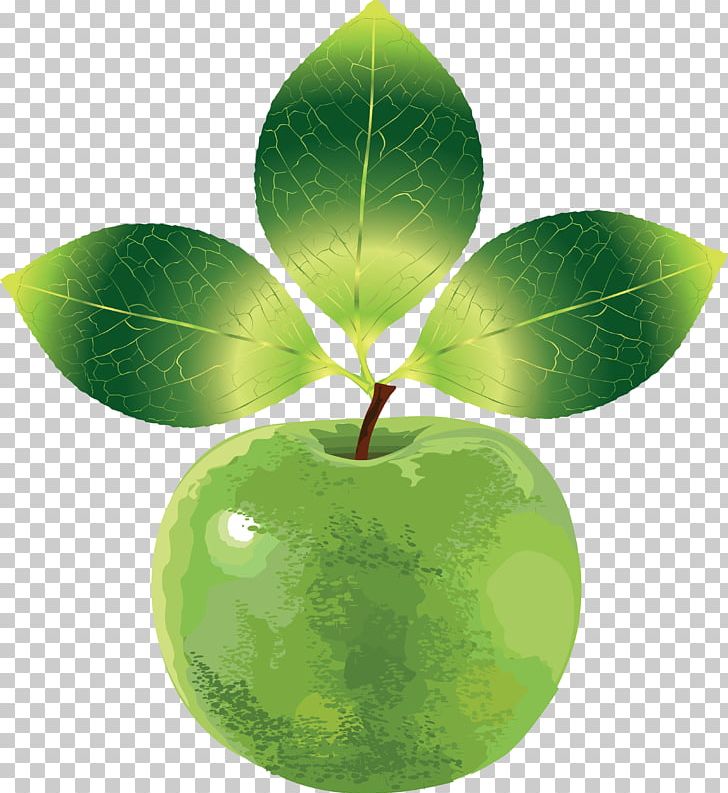 Euclidean Apple PNG, Clipart, 3d Cartoon Creative Fruit, 3d Pattern, Appl, Cartoon, Cartoon Character Free PNG Download