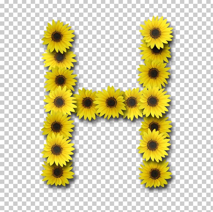Letter Case Alphabet PNG, Clipart, Alphabet, Computer Icons, Daisy Family, Digital Data, Flower Free PNG Download