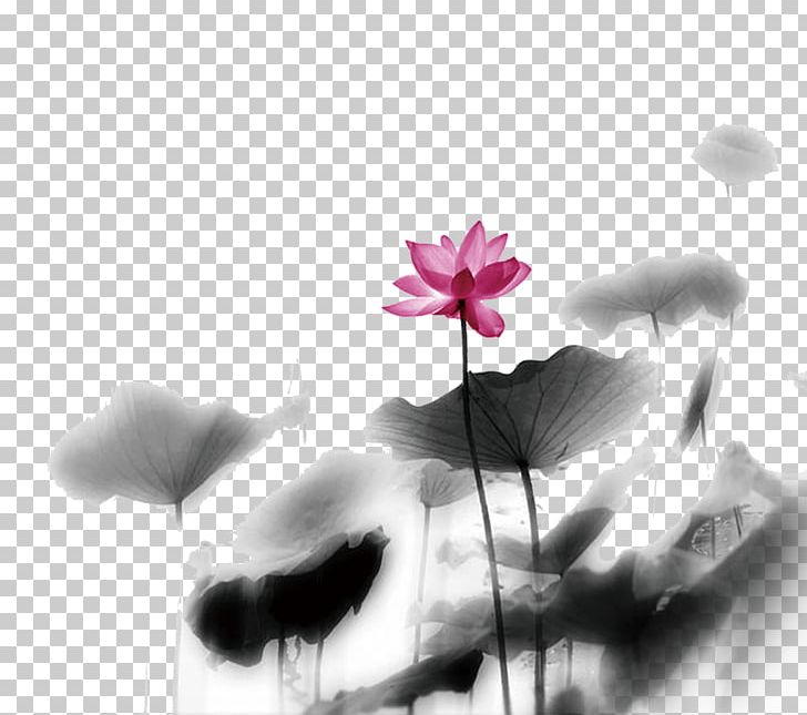 Nelumbo Nucifera Ink Wash Painting Chinese Painting PNG, Clipart, Antiquity, Chinese Style, Computer Wallpaper, Flower, Herbaceous Plant Free PNG Download