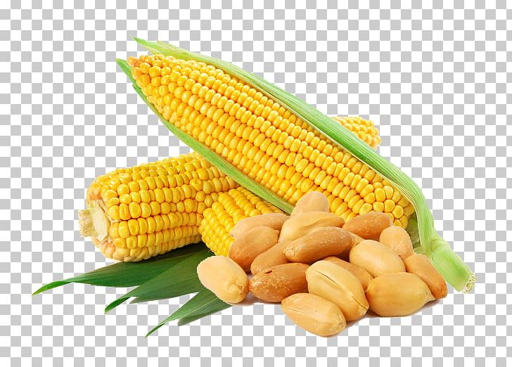 Waxy Corn Flint Corn Corn Flakes Sweet Corn Vegetable PNG, Clipart, Cartoon Corn, Cereal, Commodity, Corn, Corn Cartoon Free PNG Download