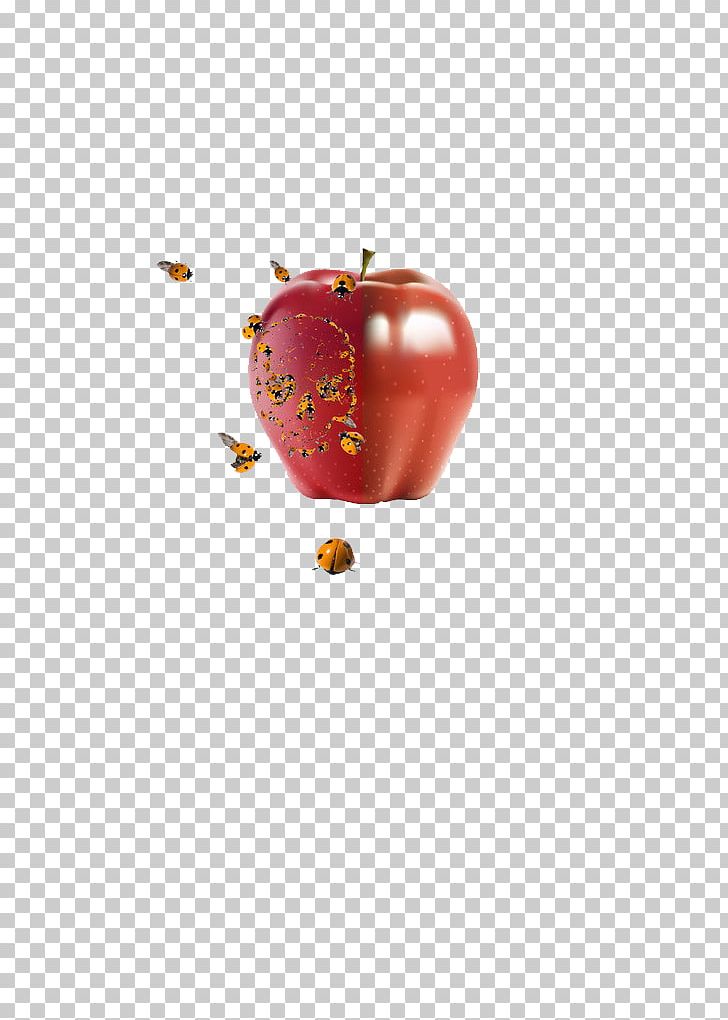 Bee Apple PNG, Clipart, Apple Fruit, Apple Logo, Apples Vector, Apple Tree, Basket Of Apples Free PNG Download