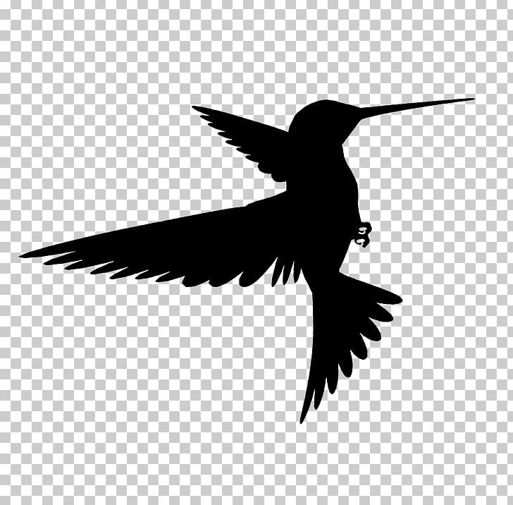 Hummingbird Silhouette Wing PNG, Clipart, Animals, Beak, Bird, Bird Flight, Bird Fly Free PNG Download