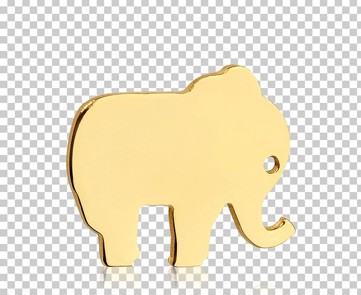 Indian Elephant African Elephant Lion Curtiss C-46 Commando PNG, Clipart, African Elephant, Carnivoran, Cat Like Mammal, Curtiss C46 Commando, Elephant Free PNG Download