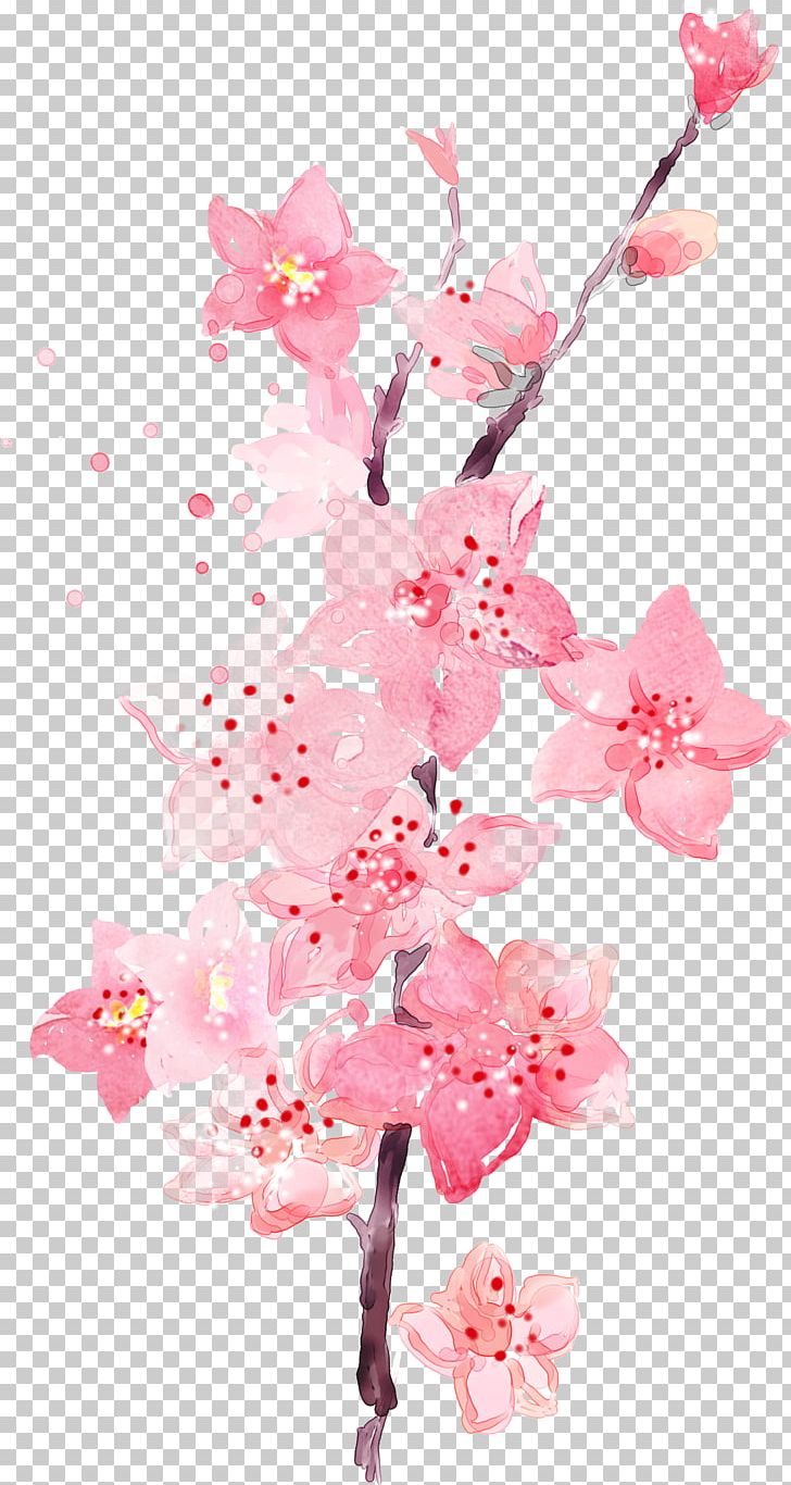 Plum Flower PNG, Clipart, Beautiful, Blossom, Branch, Cdr, Encapsulated Postscript Free PNG Download