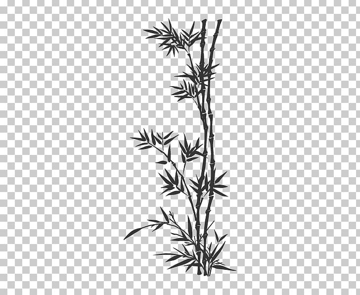 Tropical Woody Bamboos Drawing Bamboo Painting Lucky Bamboo PNG, Clipart, Art, Bambu, Black And White, Branch, Decal Free PNG Download